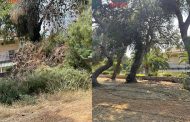 Oλοκληρώθηκε η αποψίλωση στη δασική - αναδασωτέα περιοχή του Δήμου Γαλατσίου