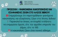 Φαινόμενα κακοποίησης και εξαφάνισης ζώων στο Άλσος Βεΐκου