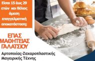 Ξεκίνησε η ηλεκτρονική υποβολή αιτήσεων για για το σχολικό έτος 2025-26